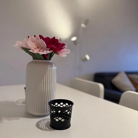 Apartman Cosy, Big, 2 Bedrooms Flat *